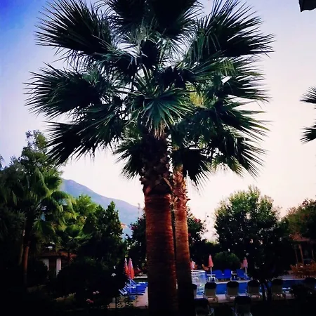 Gorkem & 3* Oludeniz