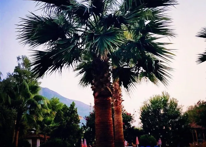 Gorkem & 3* Oludeniz